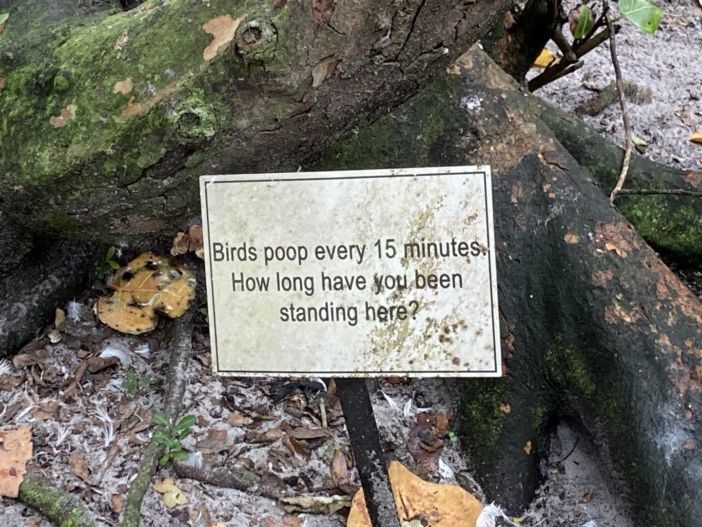 Funny Bird Sign