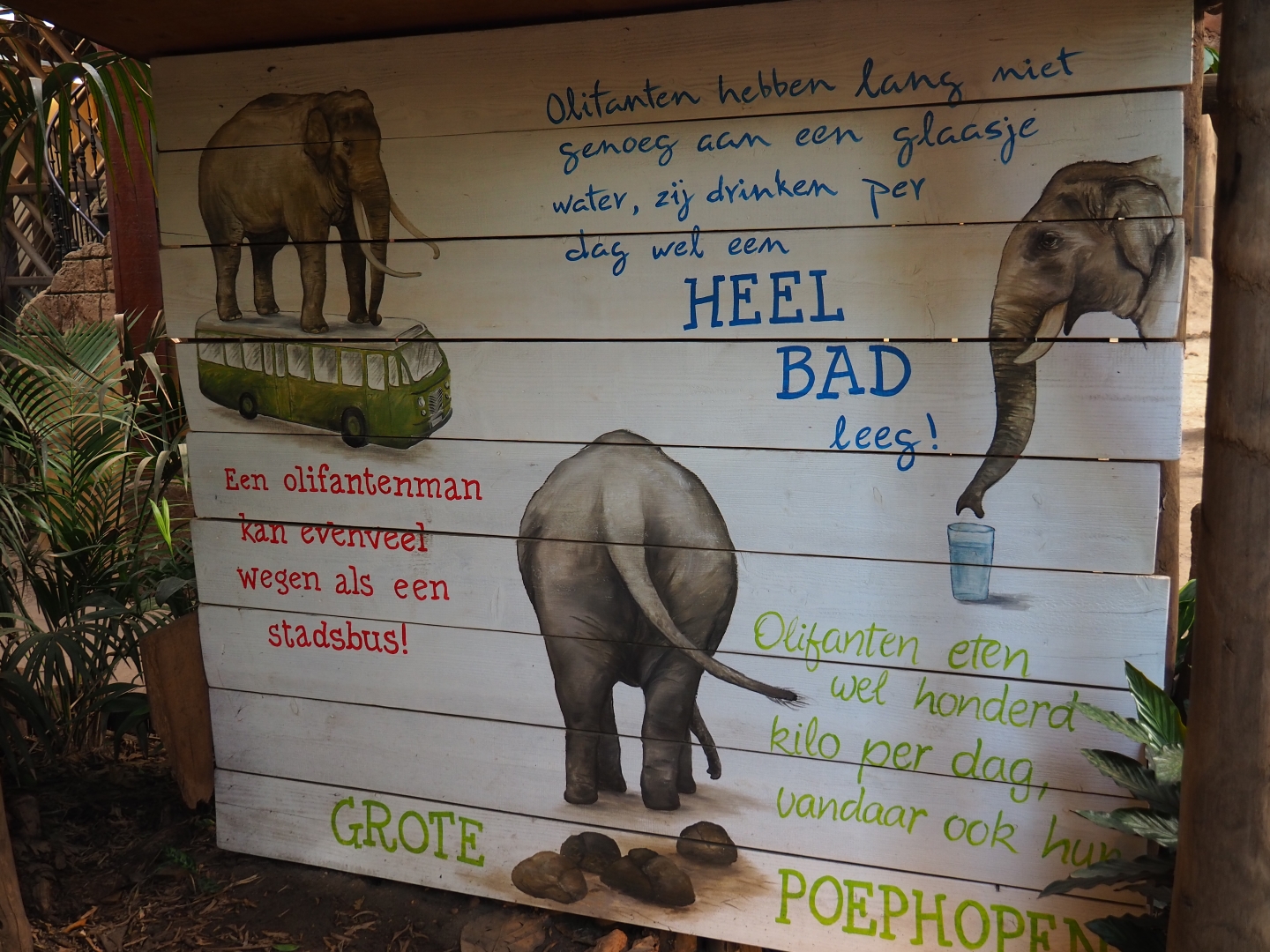 Funny elephant facts sign