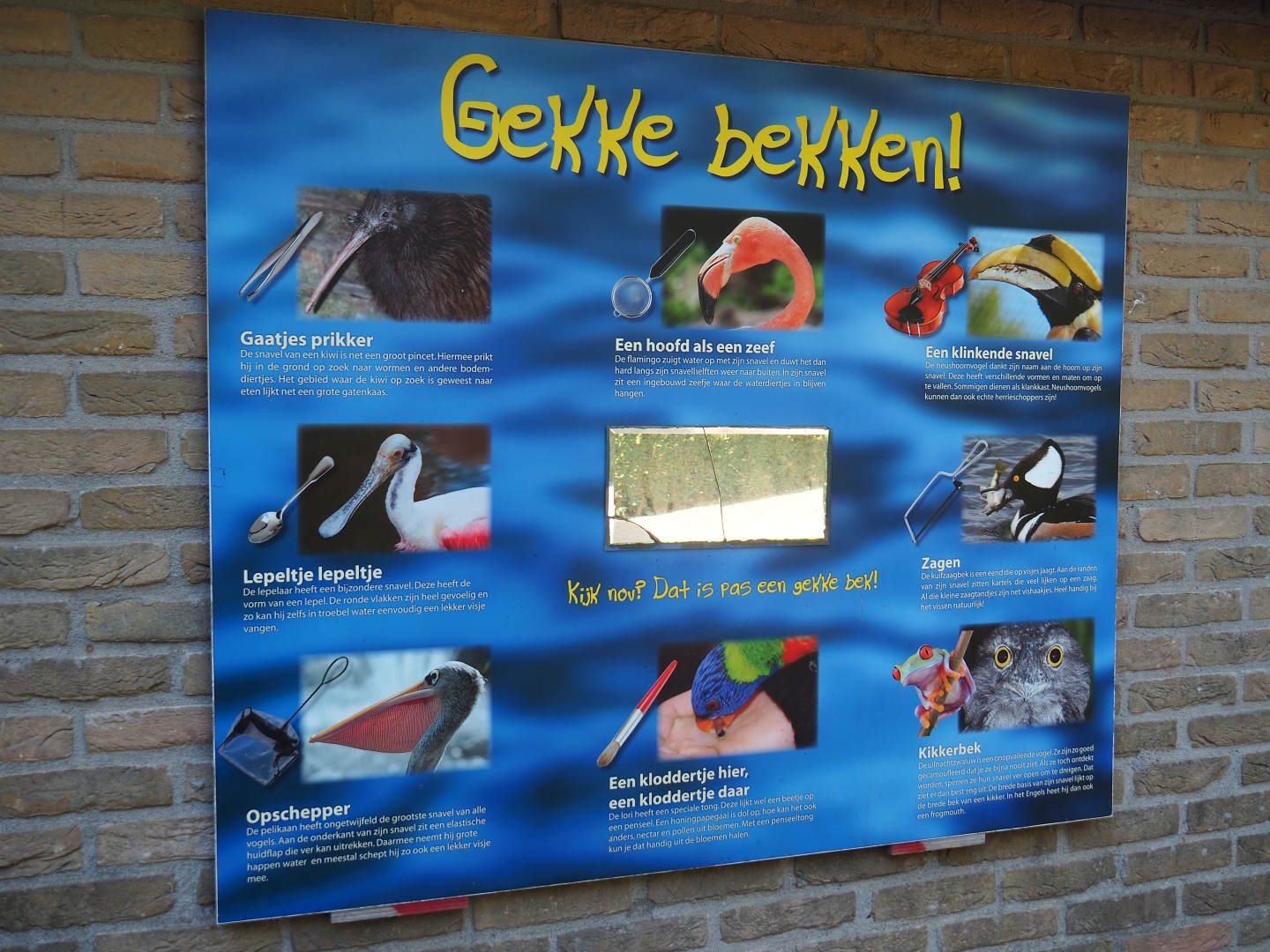 Funny faces sign (Sep 2nd, 2018)