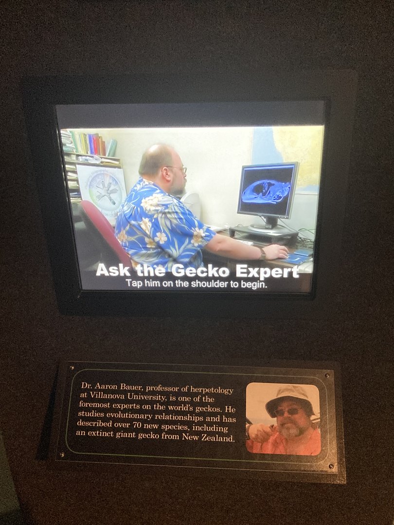 Funny interactive video