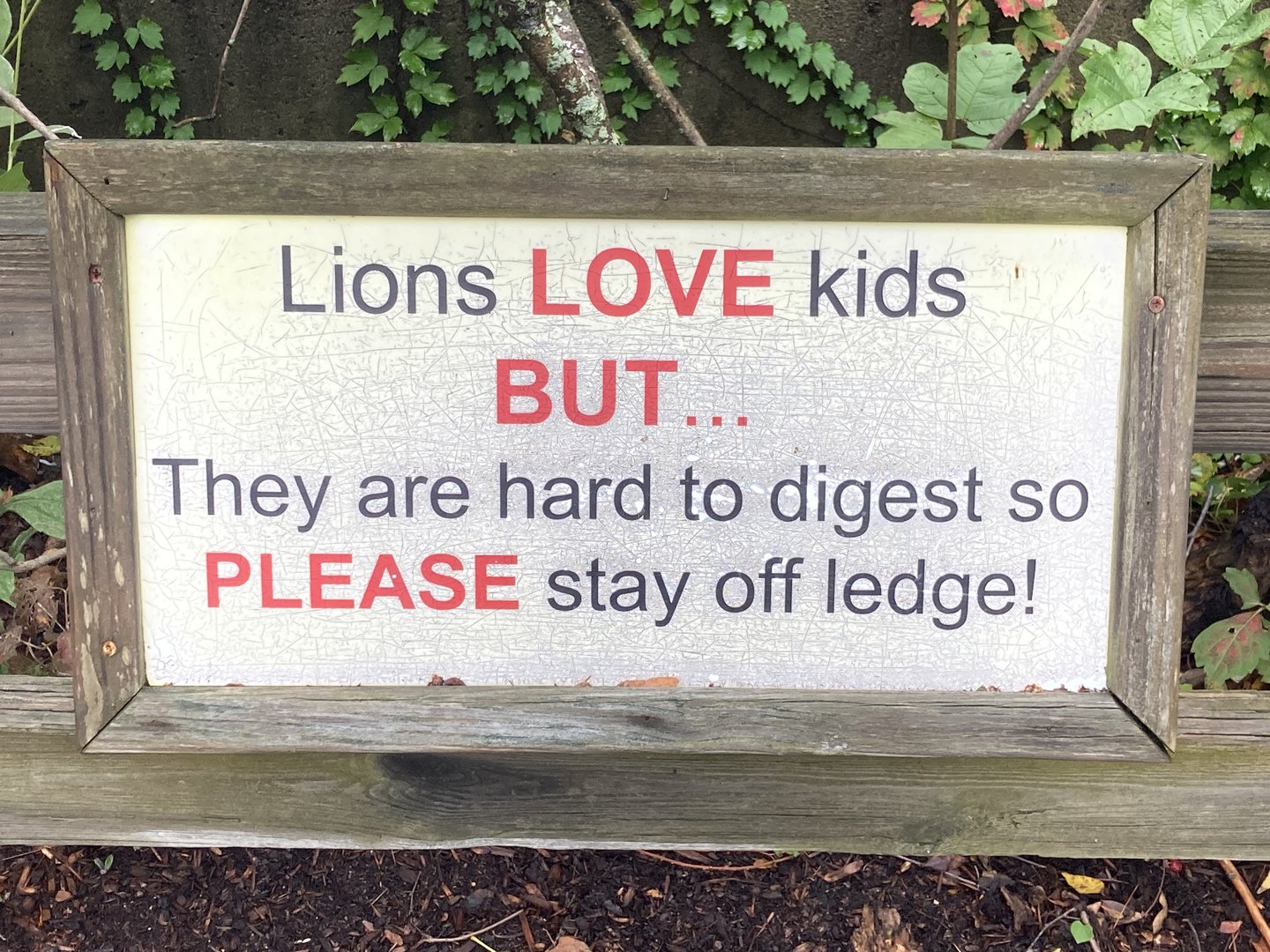 Funny Lion Signage