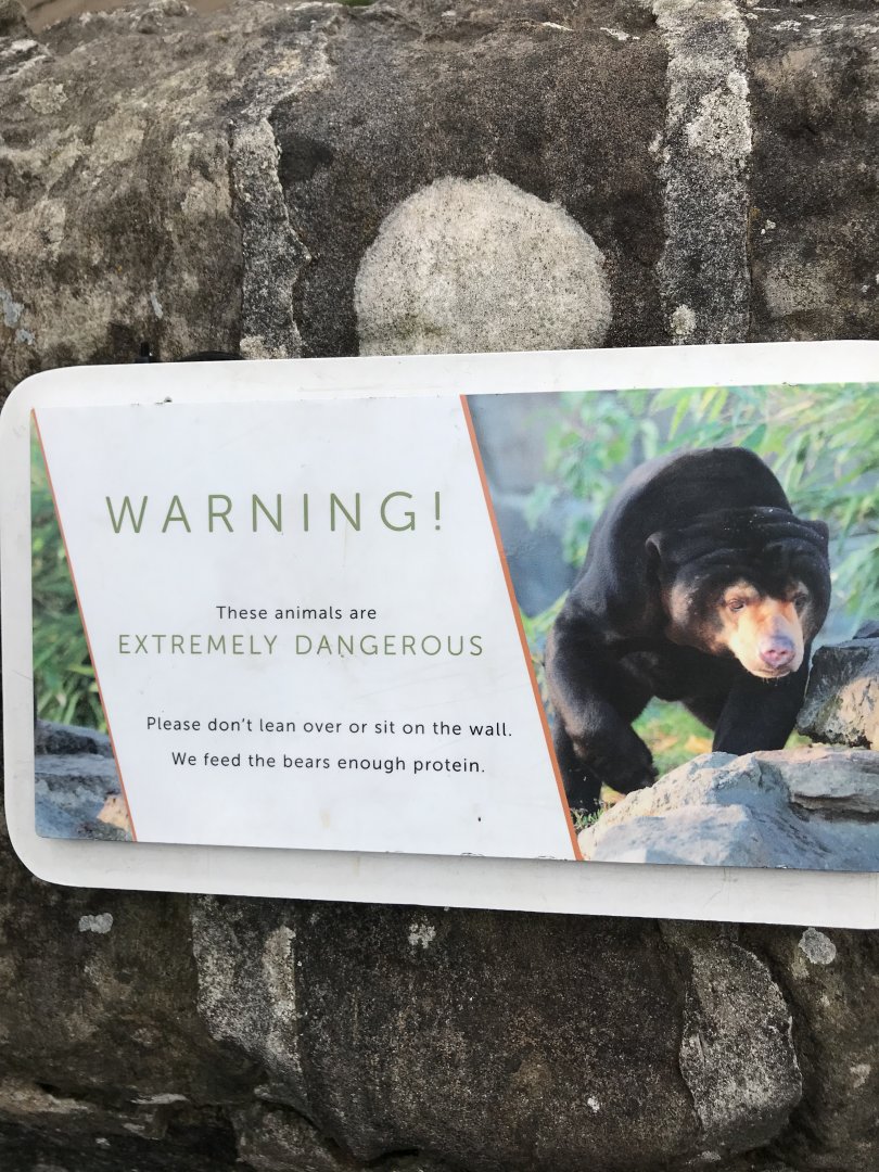 Funny sun bear sign