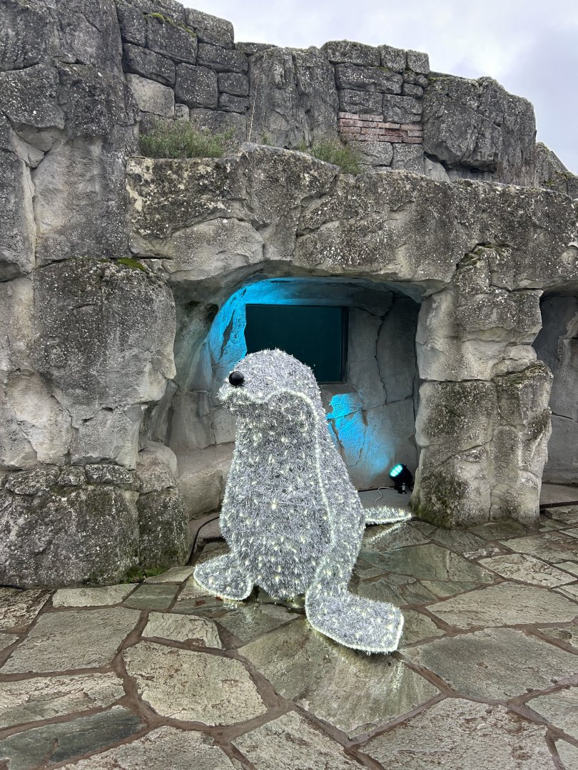 Fur seal Christmas animal