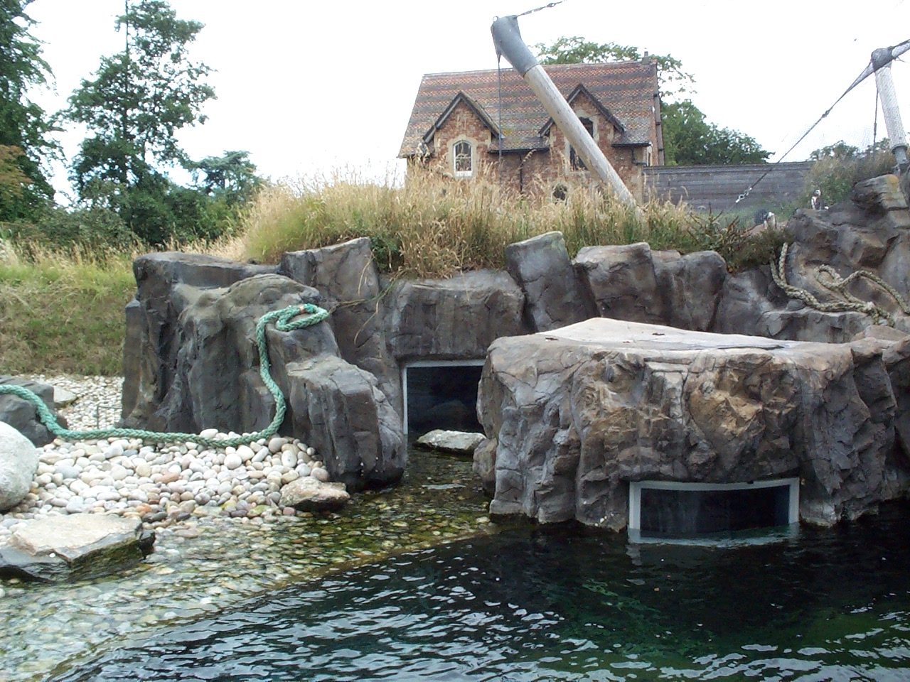 Fur seal coast July 2000