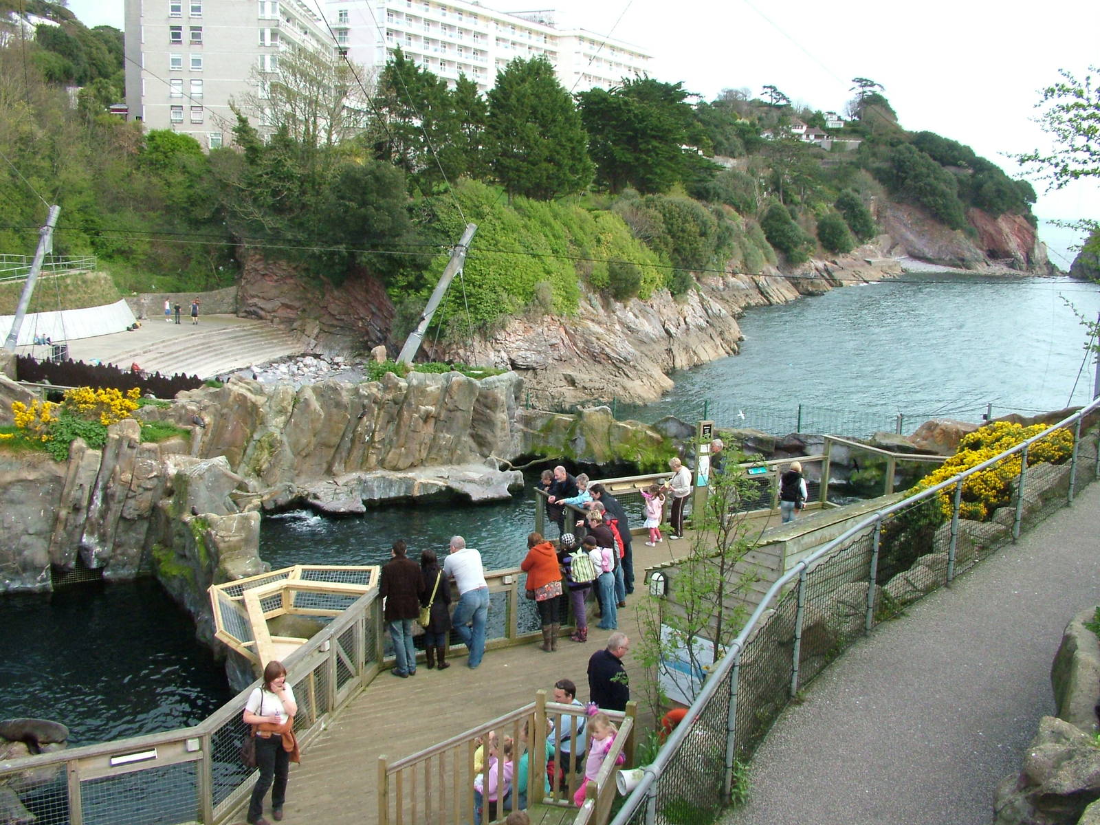 Fur Seal Cove at Living Coasts 10/04/09