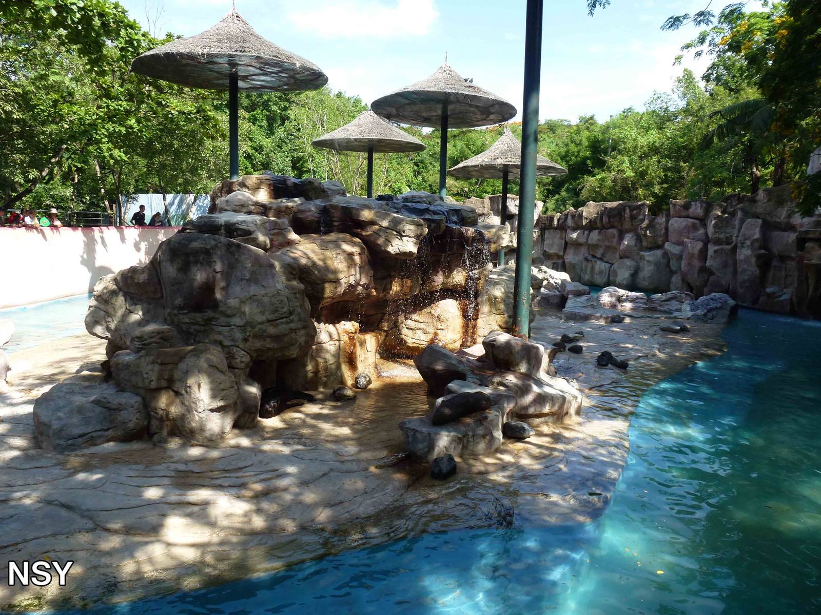 Fur seal enclosure, June 2013.