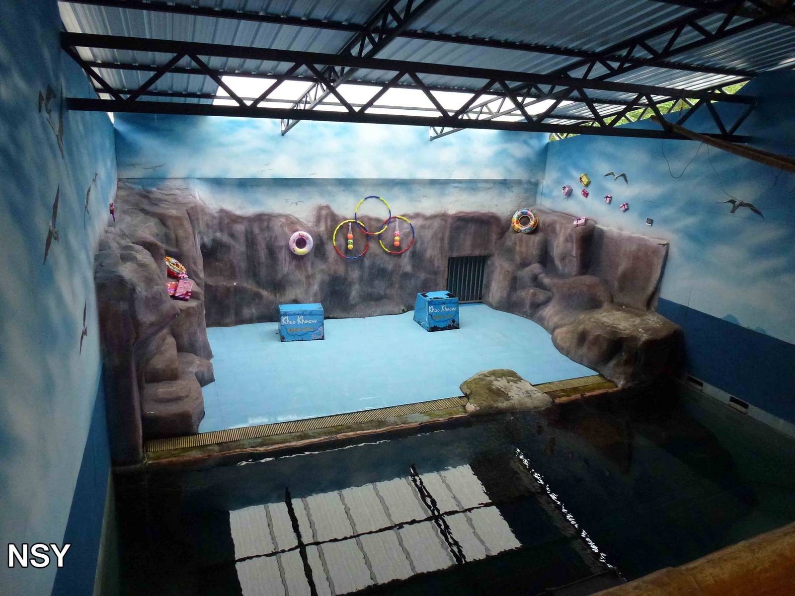 Fur seal enclosure, June 2013.