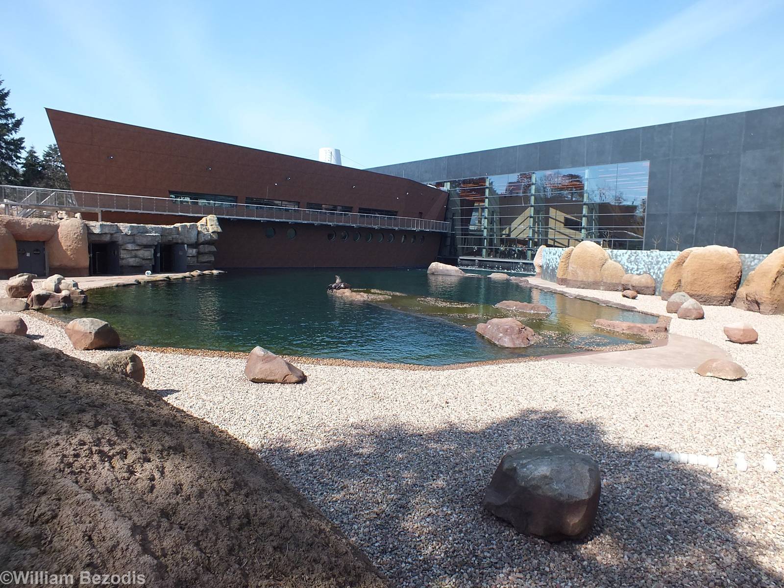 Fur Seal Enclosure - Outdoor part of Afrykarium
