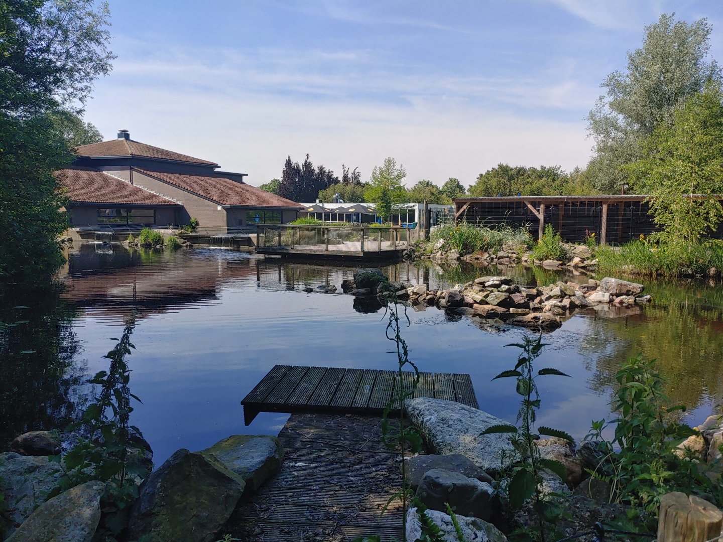 Fur seal enclosure - view from Humboldt penguin enclosure