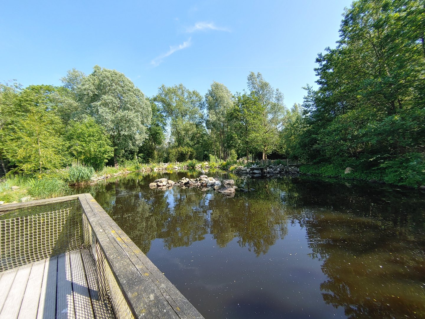 Fur seal enclosure - view from the viewing deck