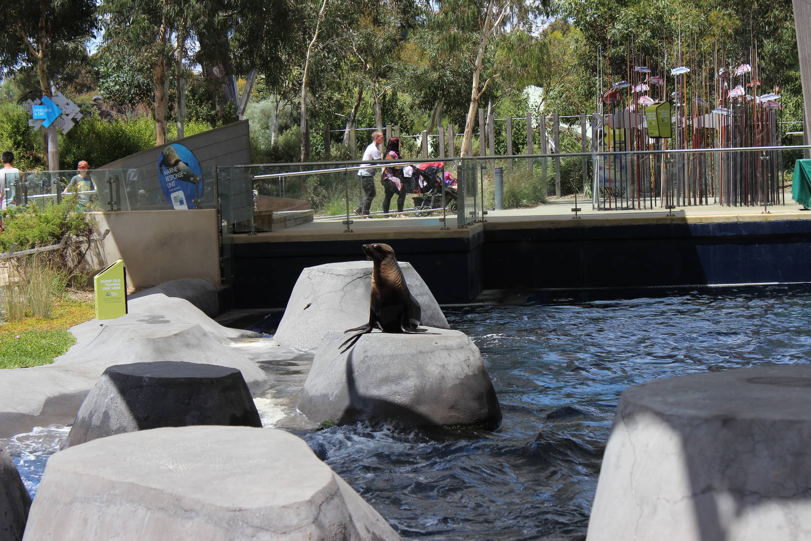 Fur Seal Enclosure