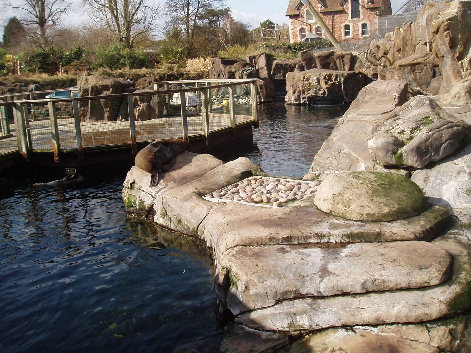 Fur seal enclosure
