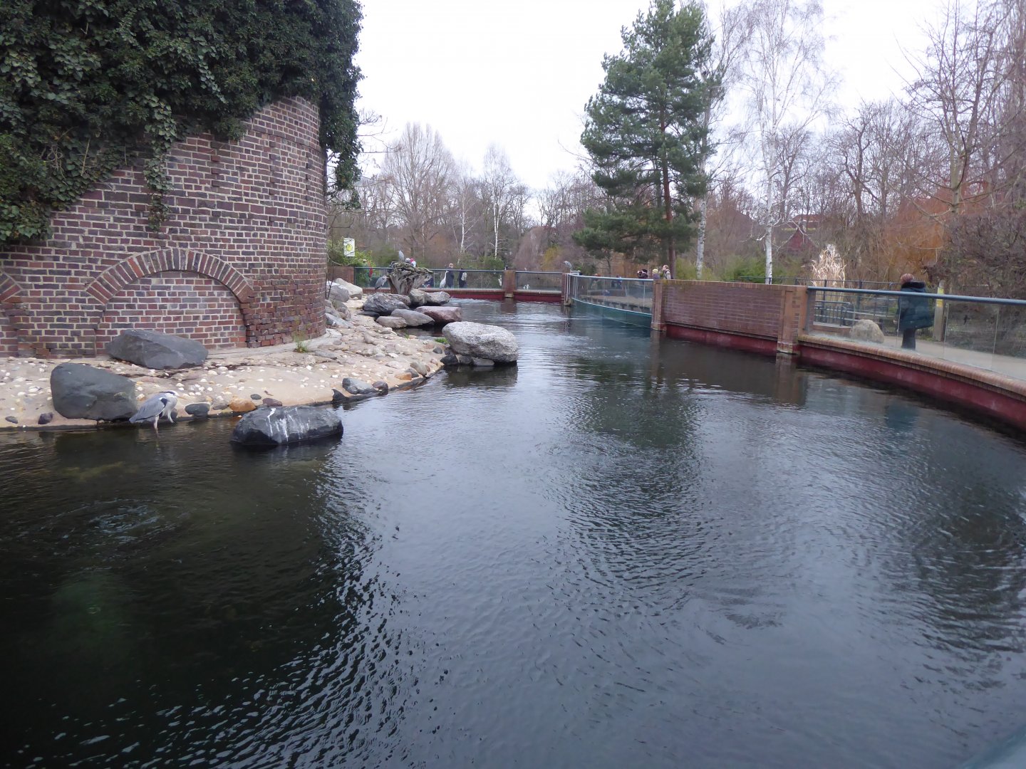 Fur seal exhibit 280118