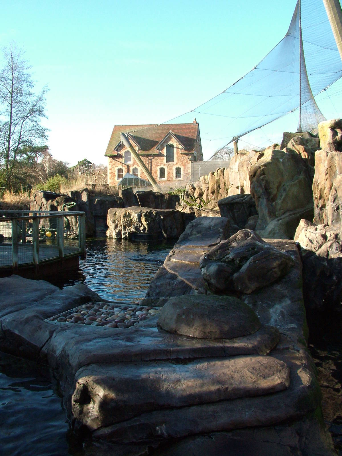 Fur Seal exhibit at Bristol 19/12/09