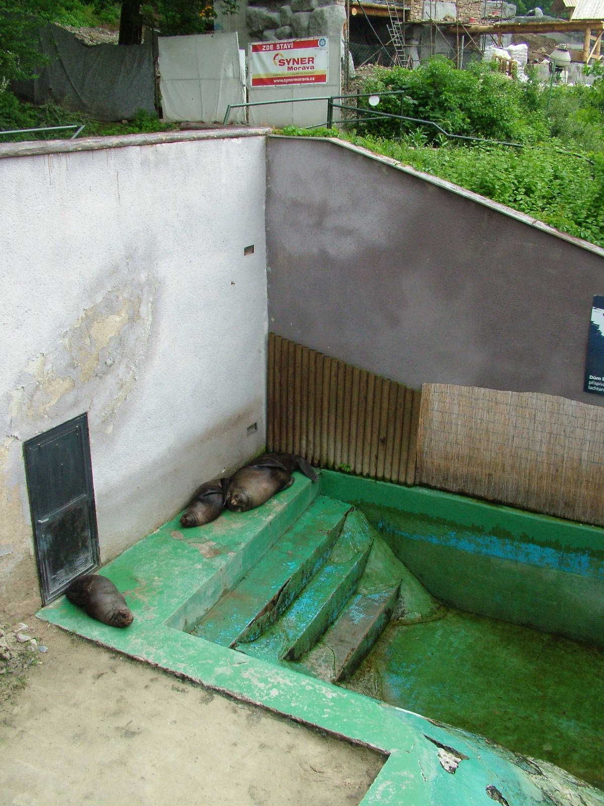 Fur Seal exhibit at Brno, 27/05/10