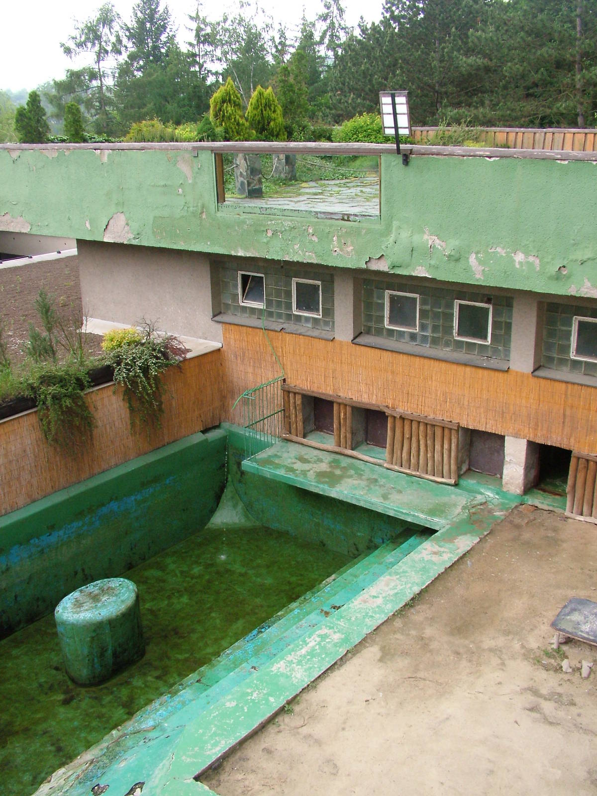 Fur Seal exhibit at Brno, 27/05/10