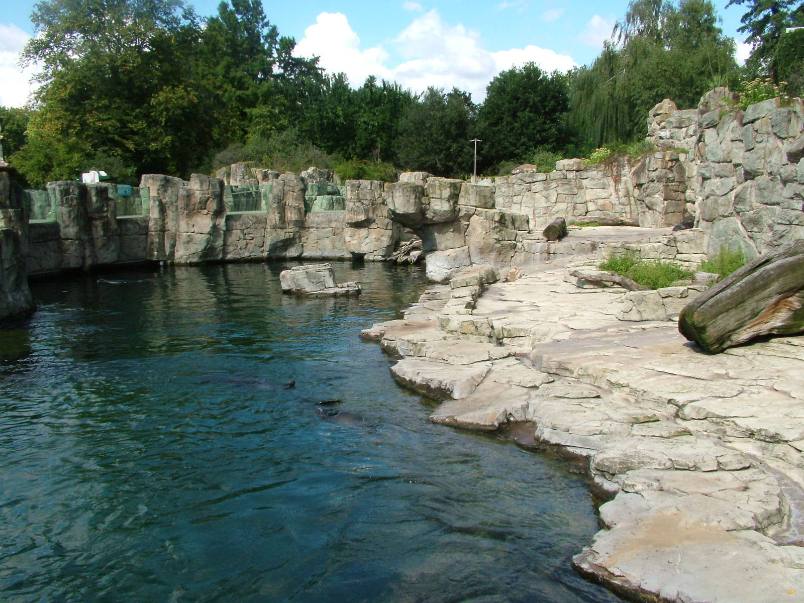 Fur Seal Exhibit at Frankfurt 31/08/10