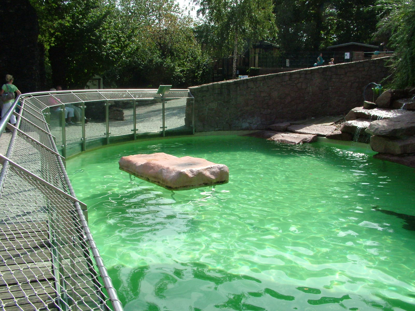 Fur Seal Exhibit at Halle, 04/09/11