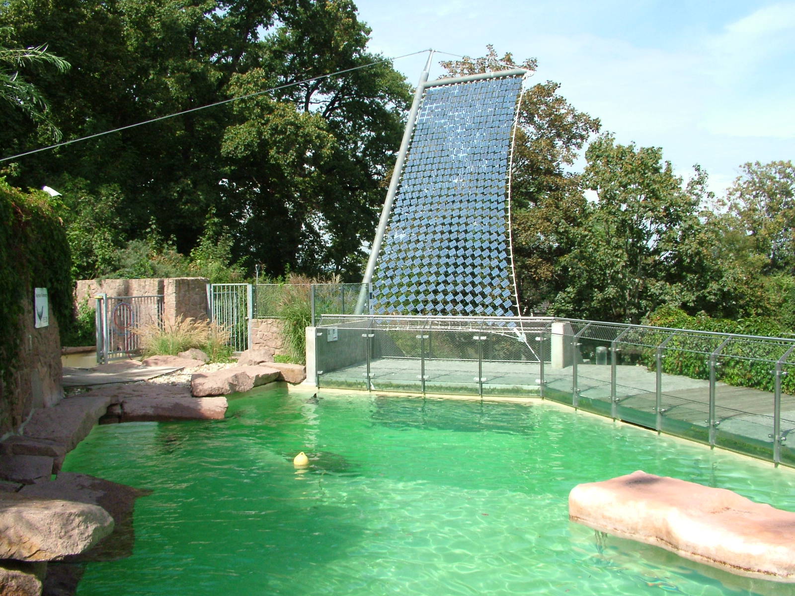 Fur Seal Exhibit at Halle, 04/09/11