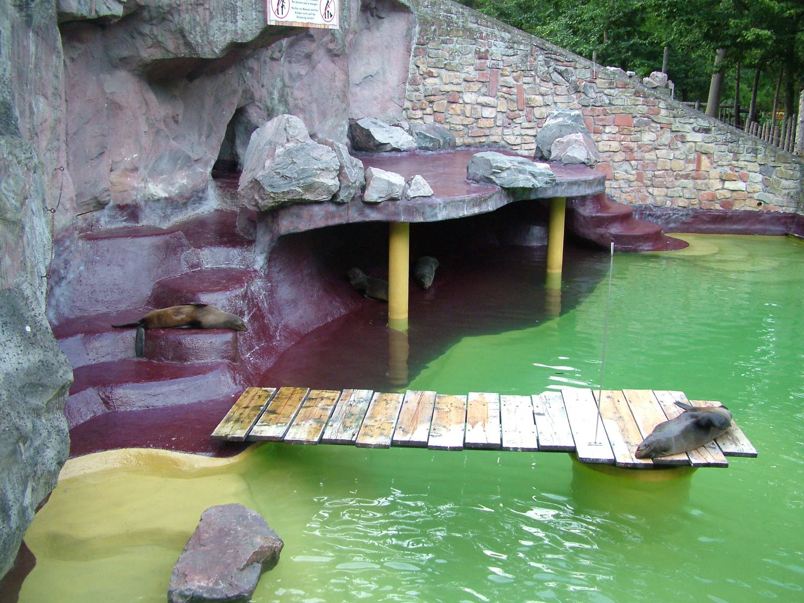 Fur Seal Exhibit at Landau Zoo, 04/09/10