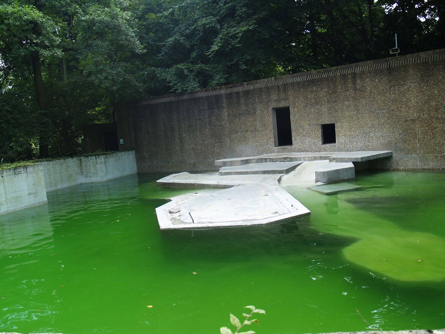 Fur seal exhibit, former polar bear exhibit (Now gone), 2008-08-06