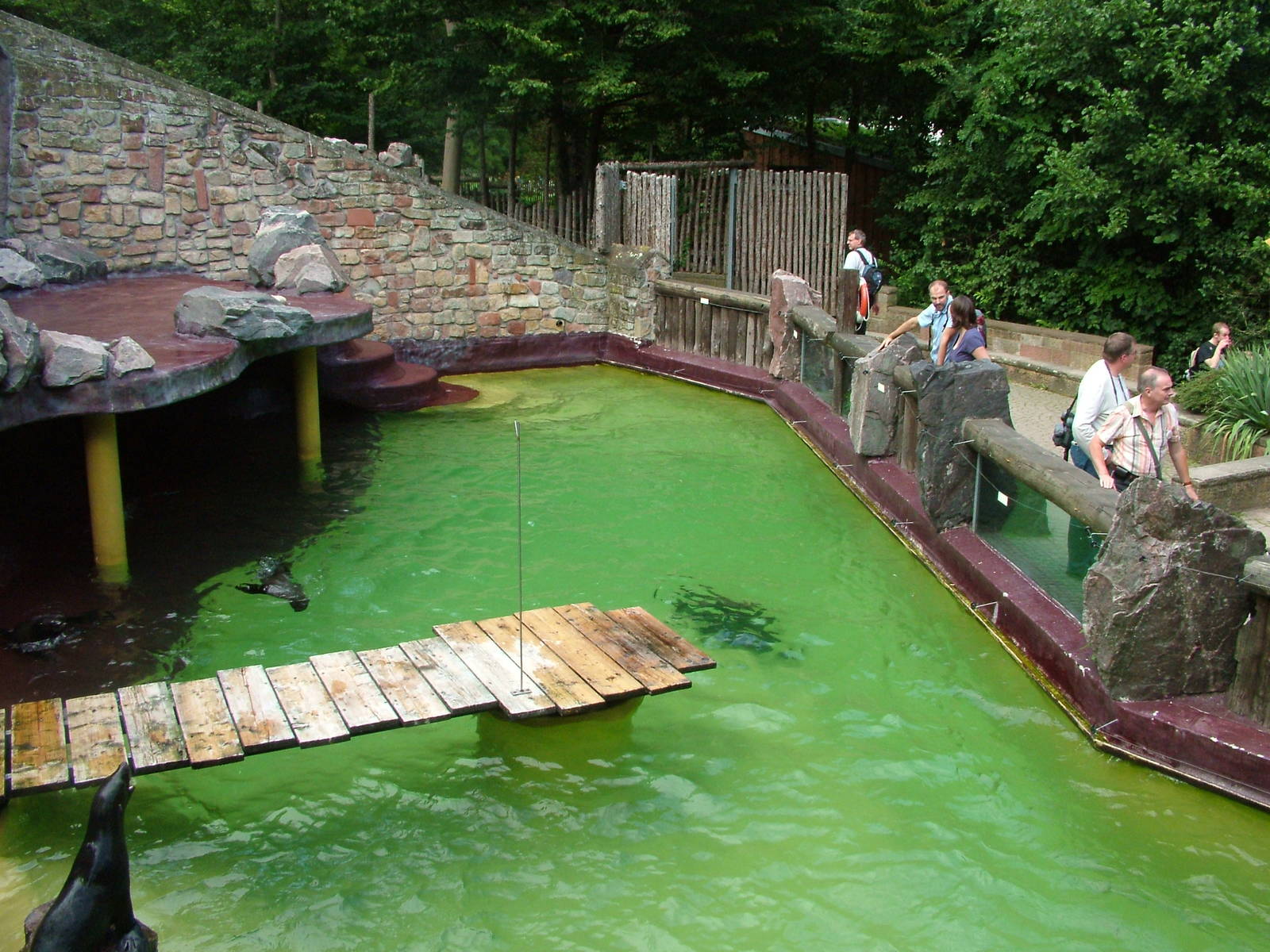 Fur Seal Pool at Landau Zoo, 04/09/10
