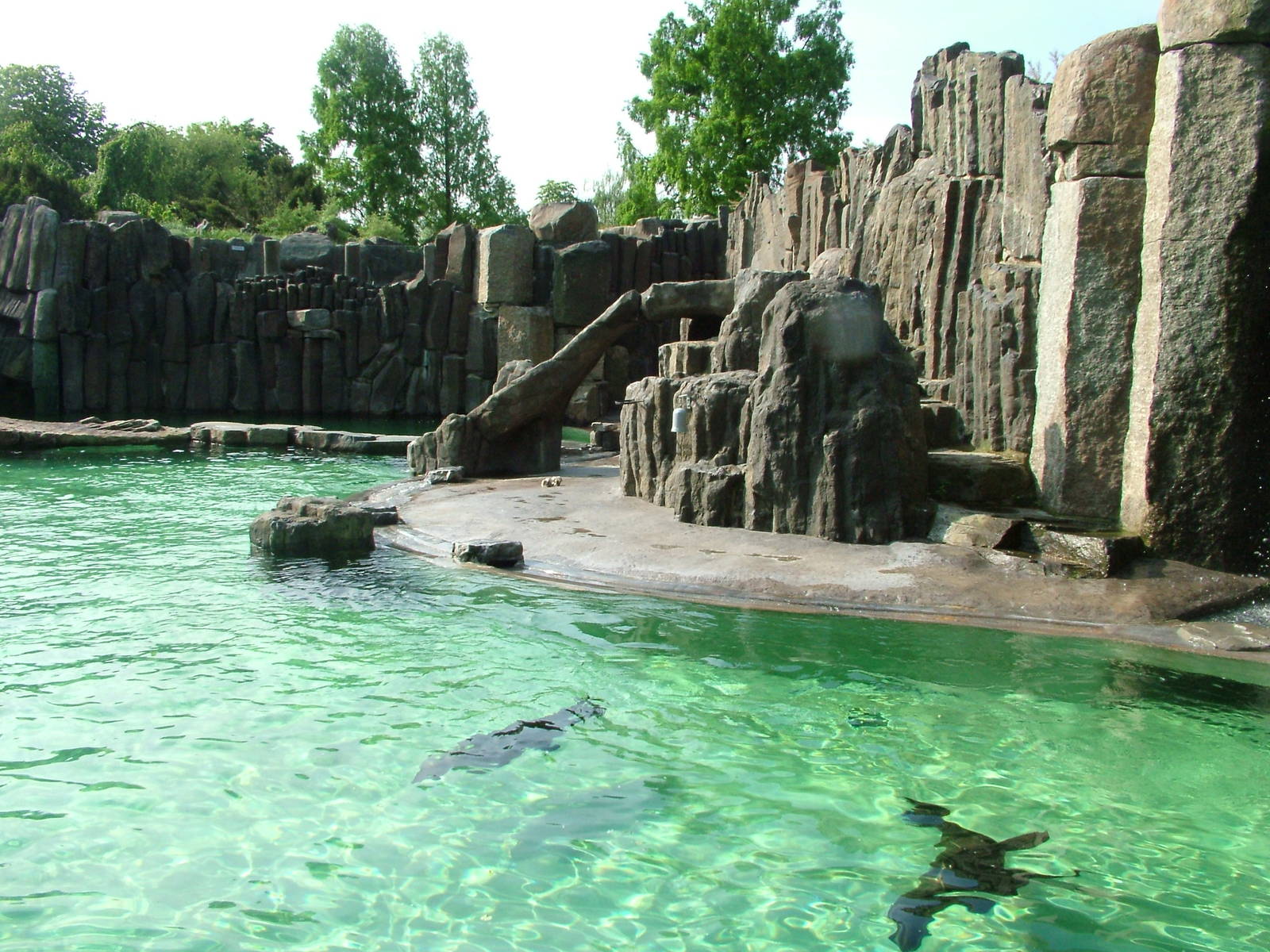 Fur Seal pool at Prague, 24/05/10