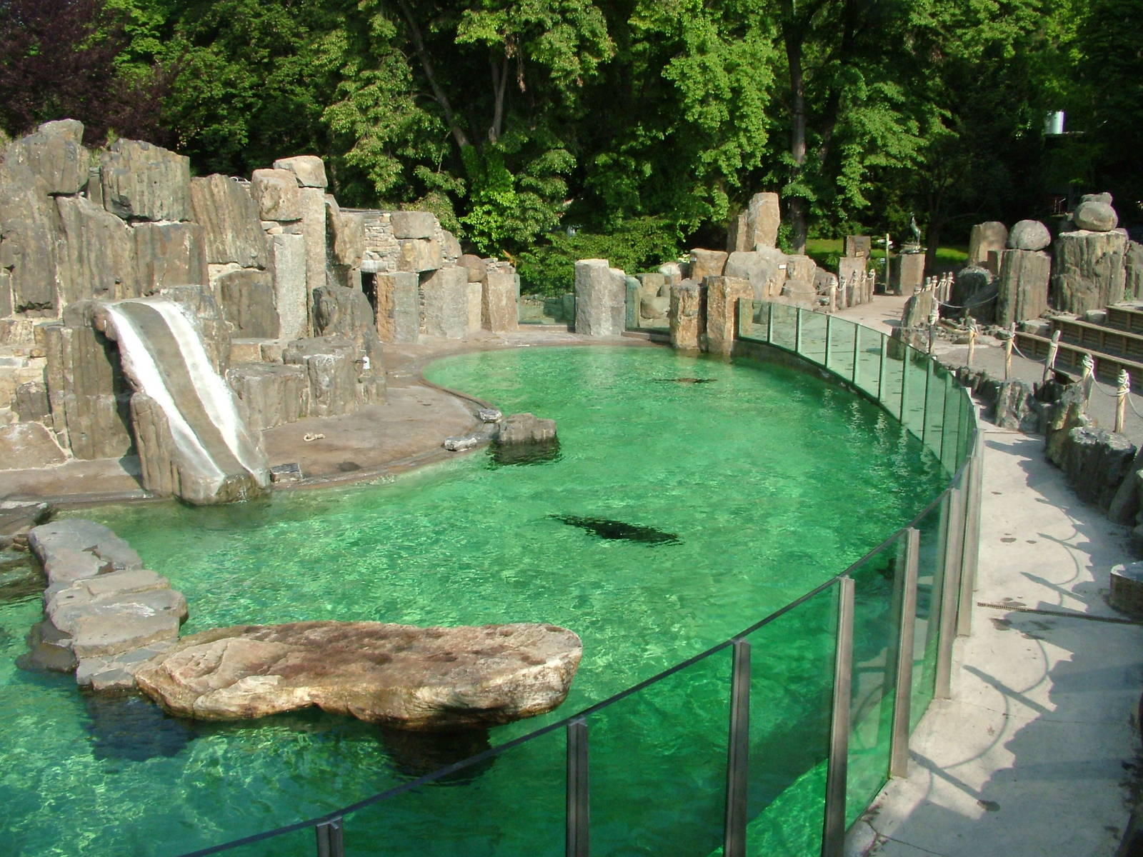 Fur Seal pool at Prague, 24/05/10