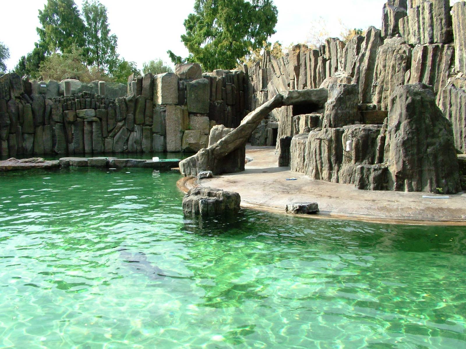 Fur Seal Pool at Prague, 25/08/12