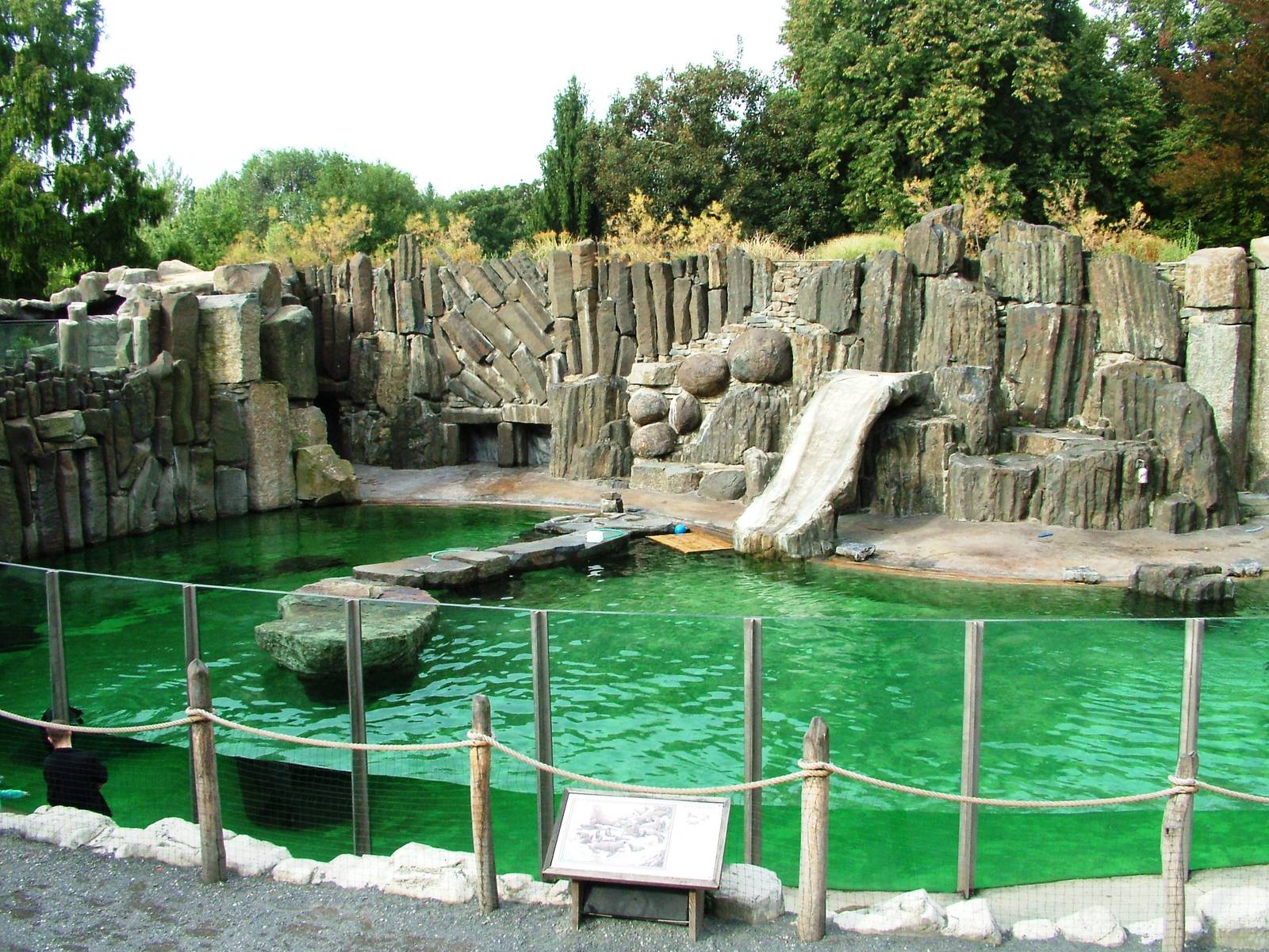 Fur Seal Pool at Prague, 25/08/12