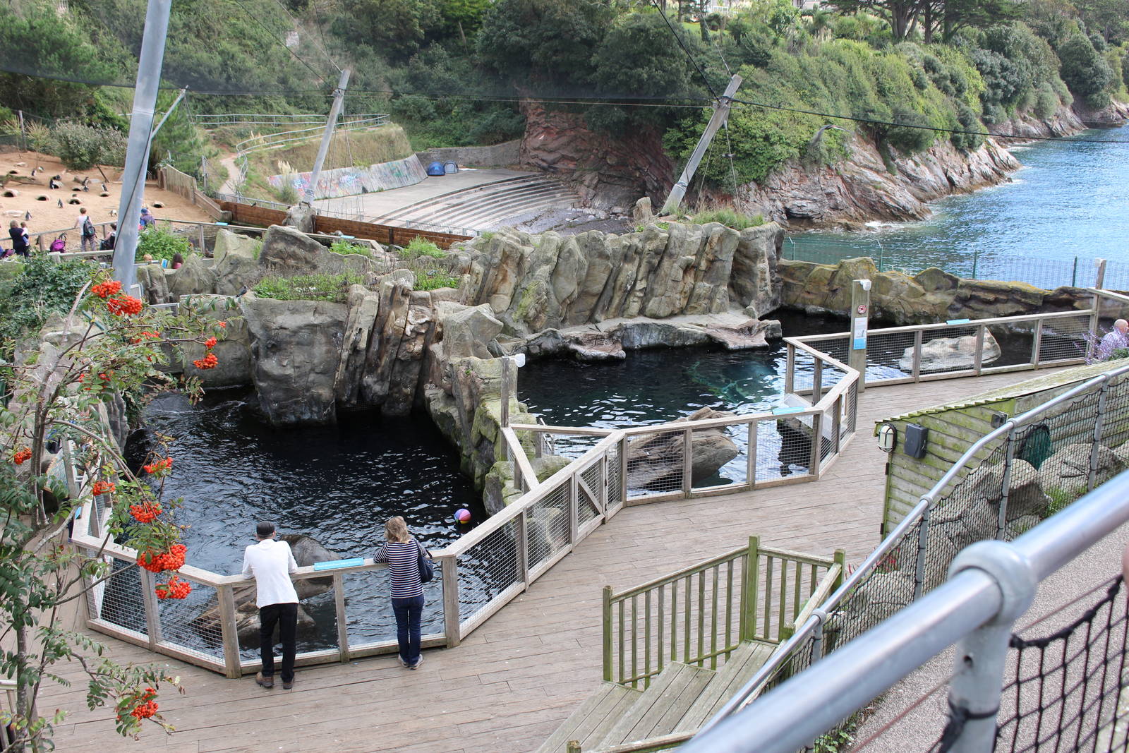 Fur Seal pools @ Living Coasts 22.09.2016