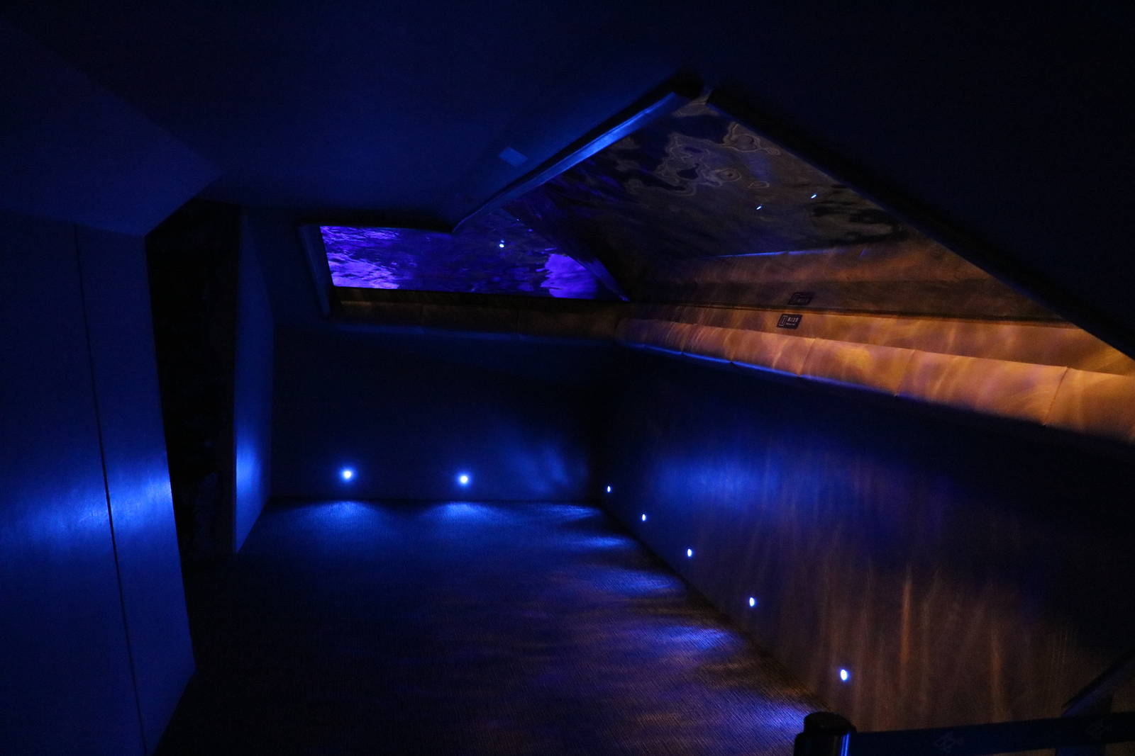 Fur seal underwater viewing - Sumida Aquarium, February 2016