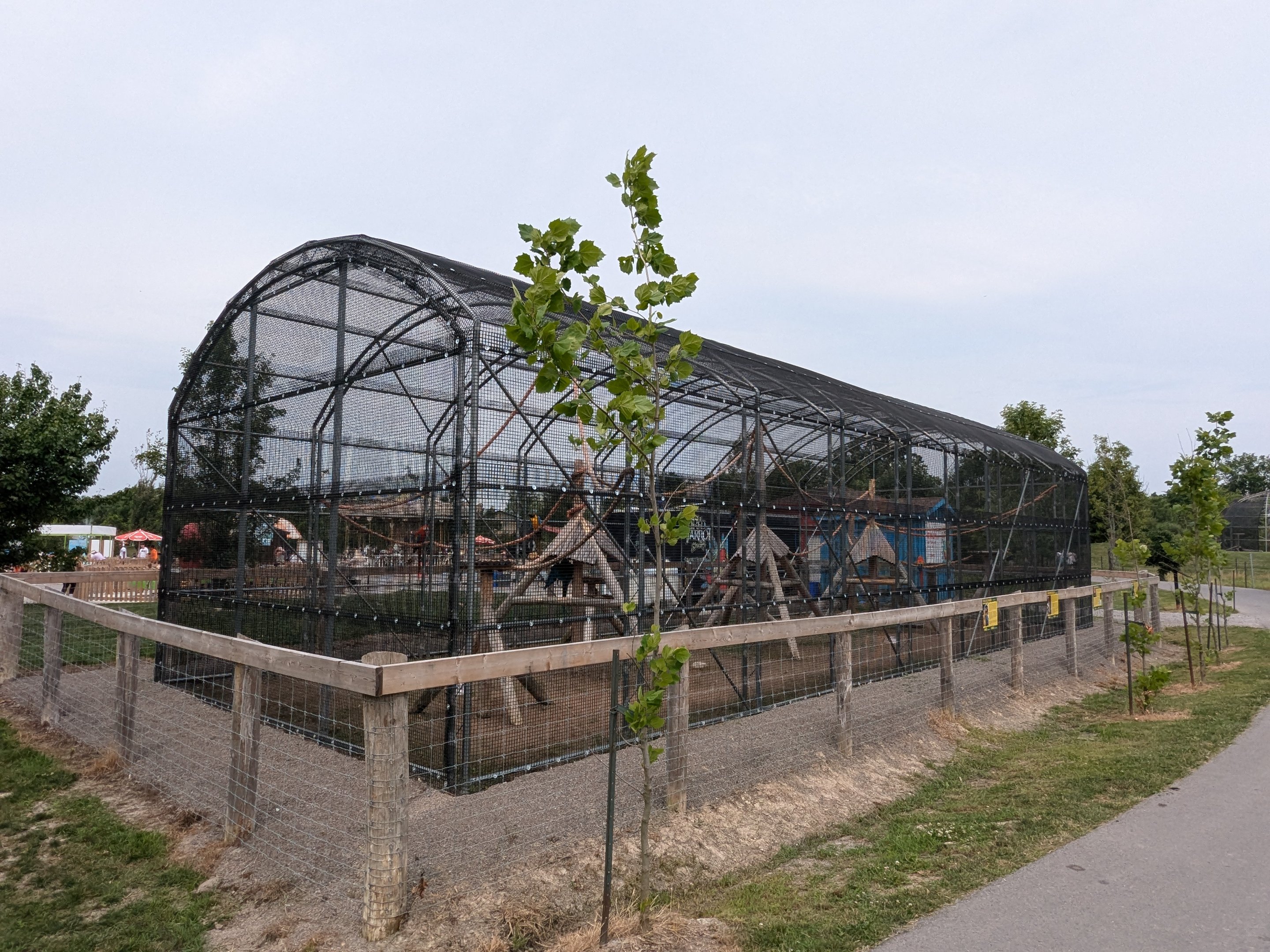 Furaha Fairgrounds - Macaws