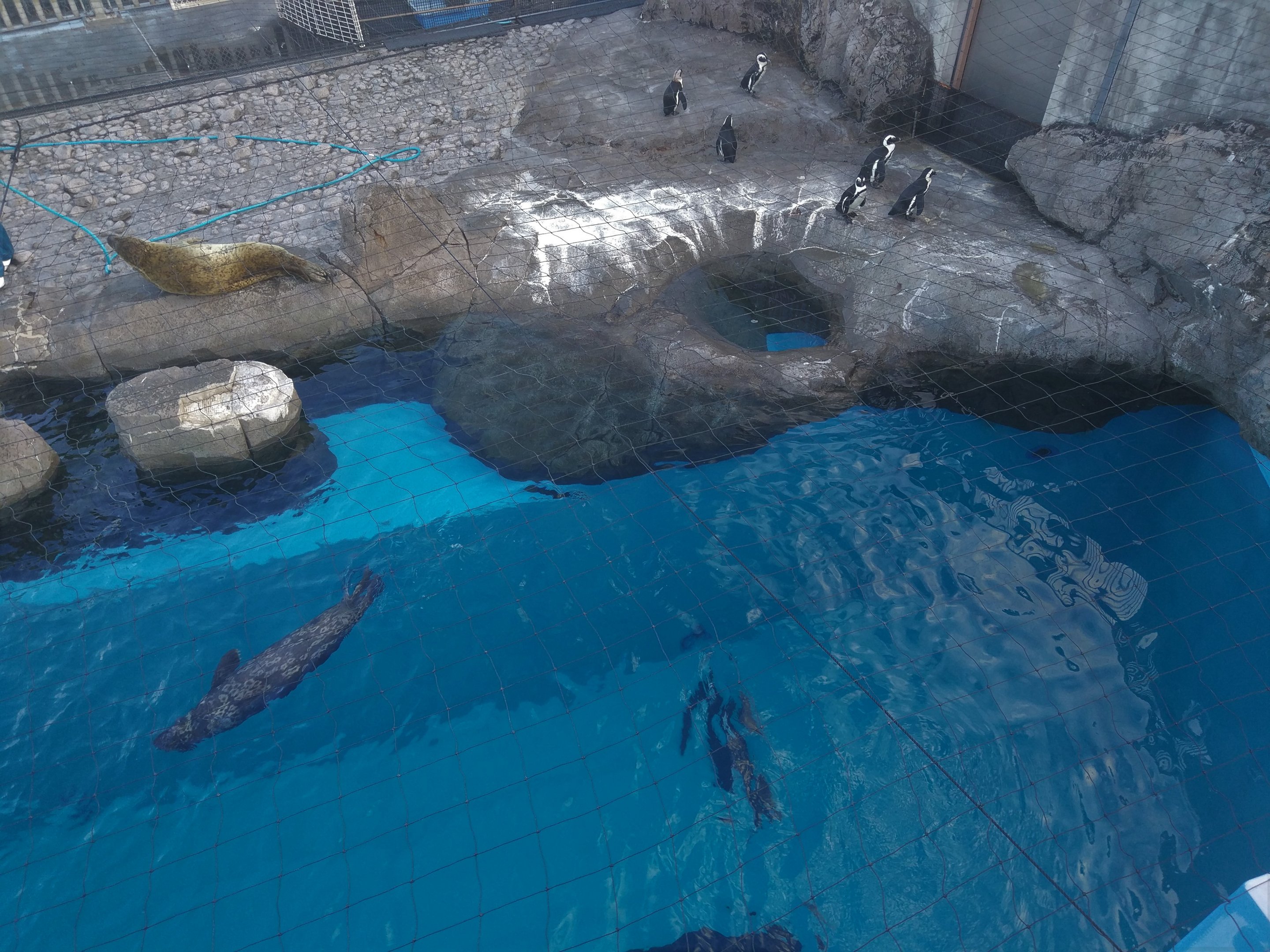 Fureai Lagoon Exhibit