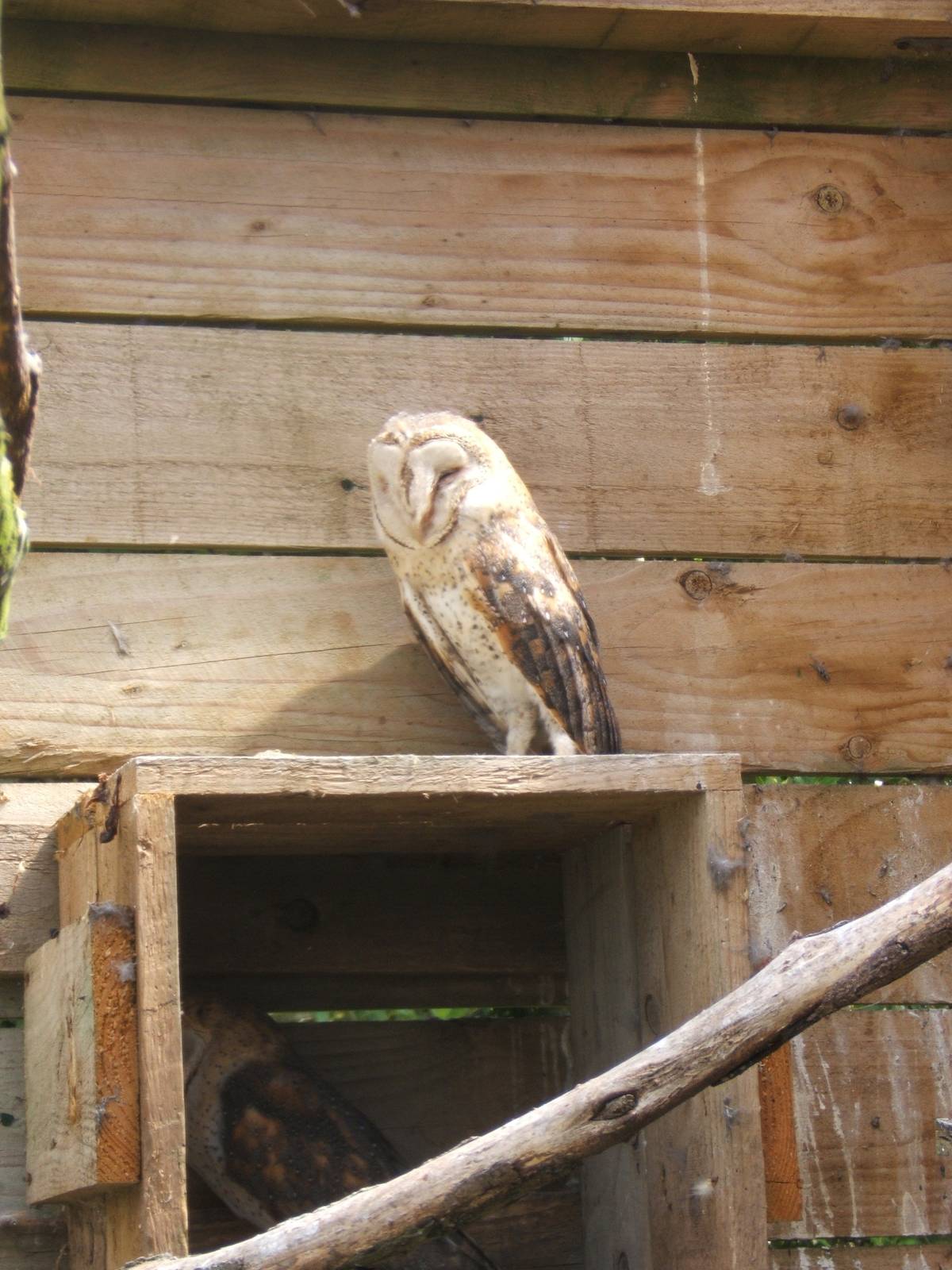 Furness Owl Centre (Now Closed)