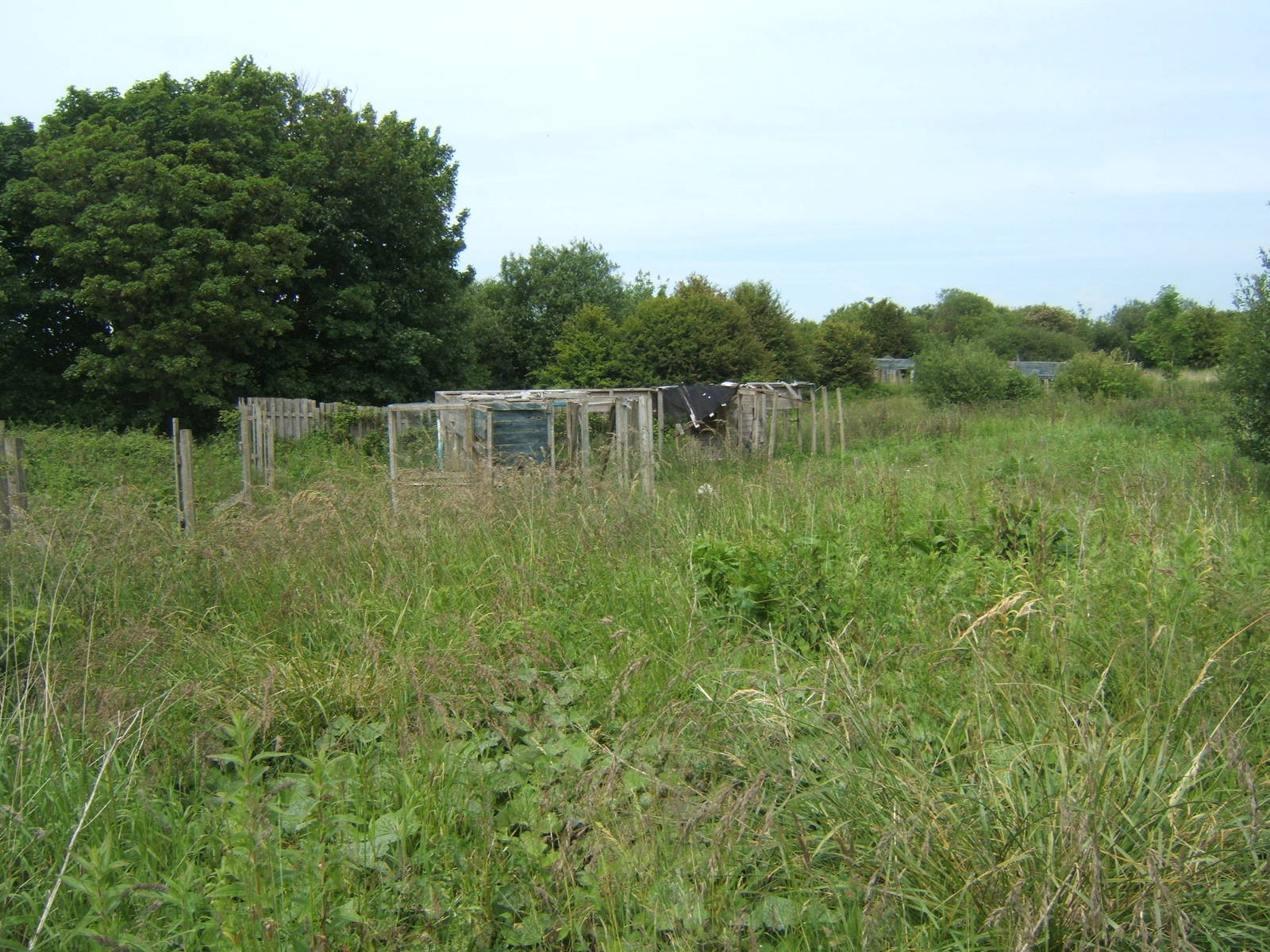 Furness Owl Centre (Now Closed)