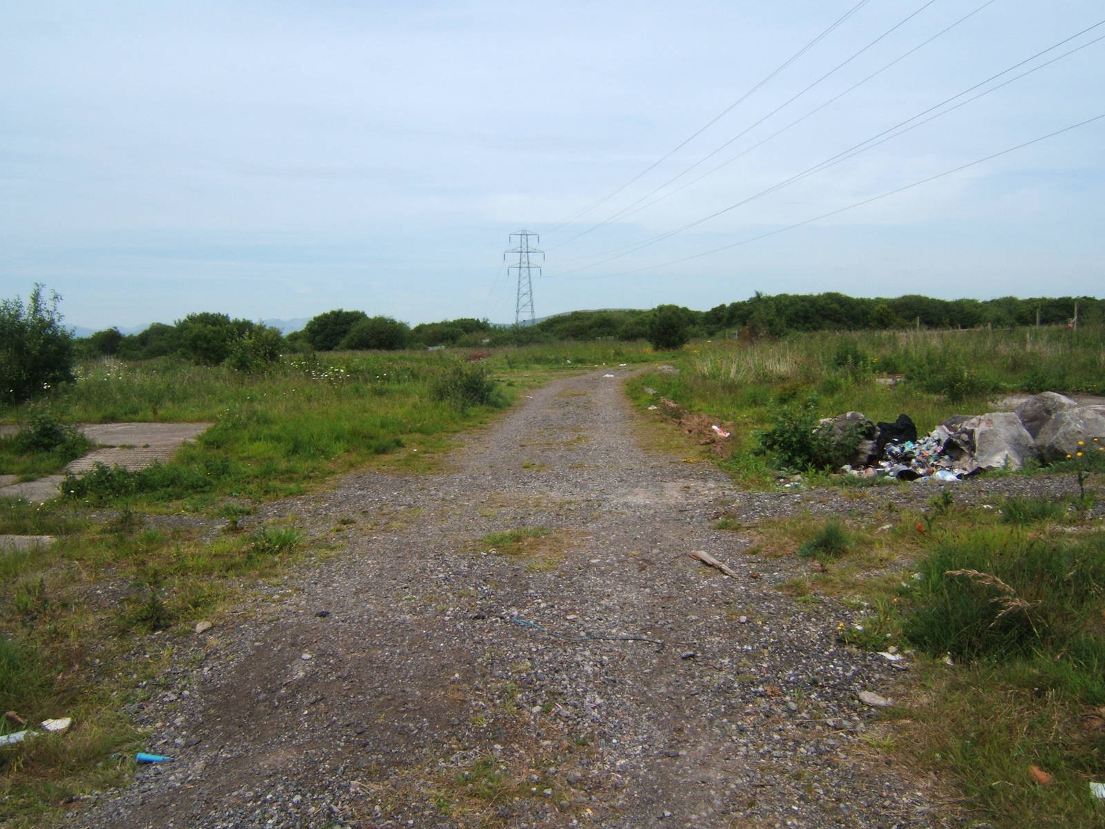 Furness Owl Centre (Now Closed)