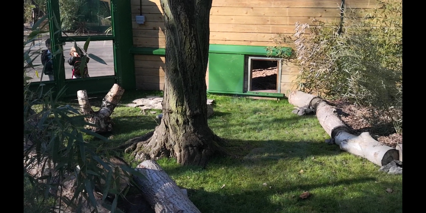 Furnished Dragon Exhibit