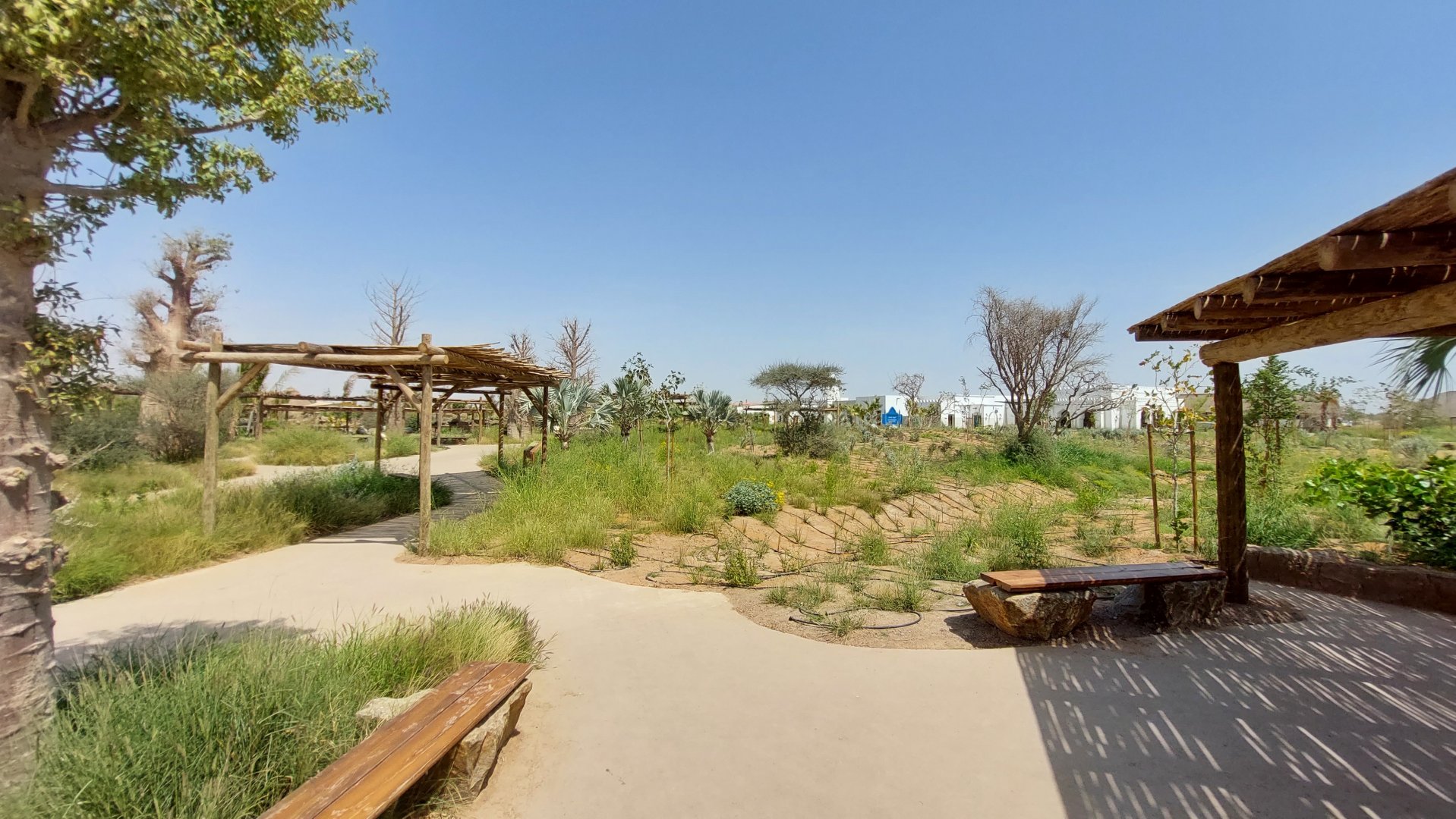 Furniture and landscaping in Base camp