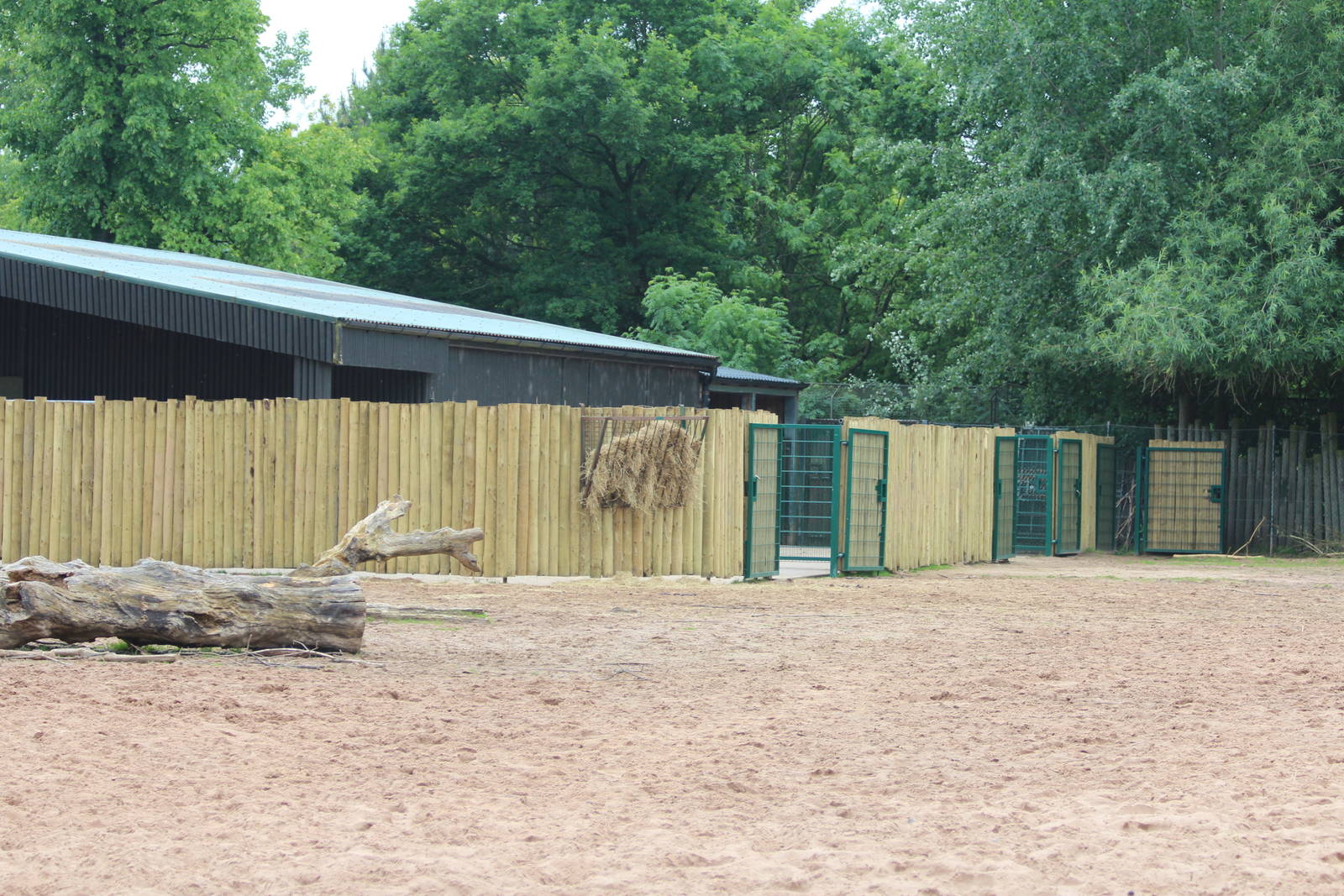 Further Onager and Camel paddock refurbishments