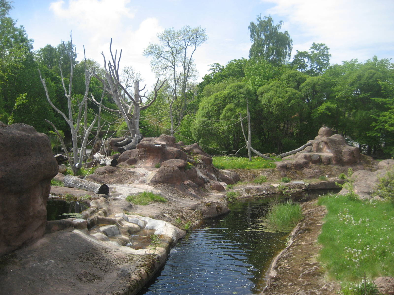 Furuvik - Chimpanzee exhibit