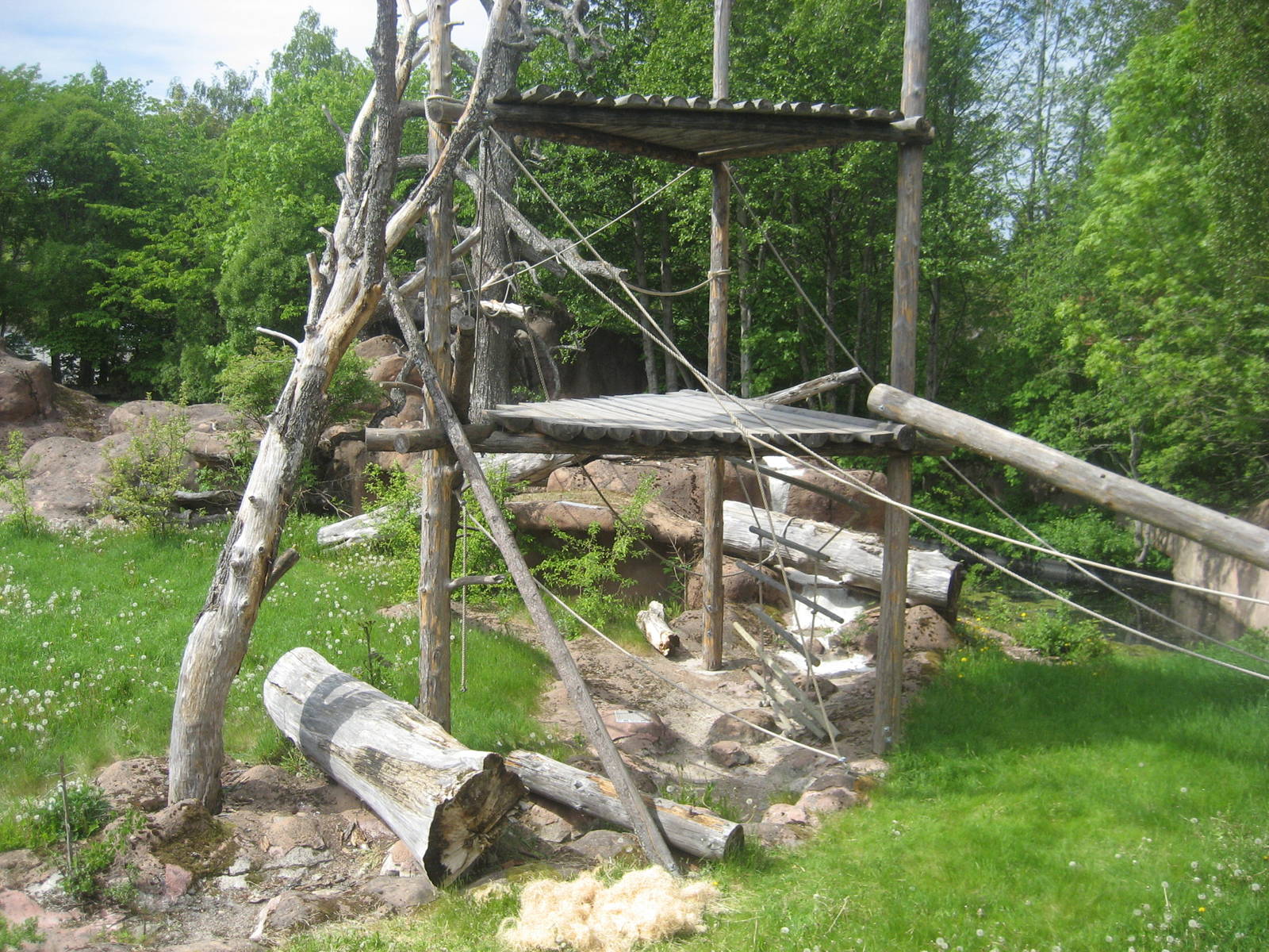 Furuvik - Chimpanzee exhibit