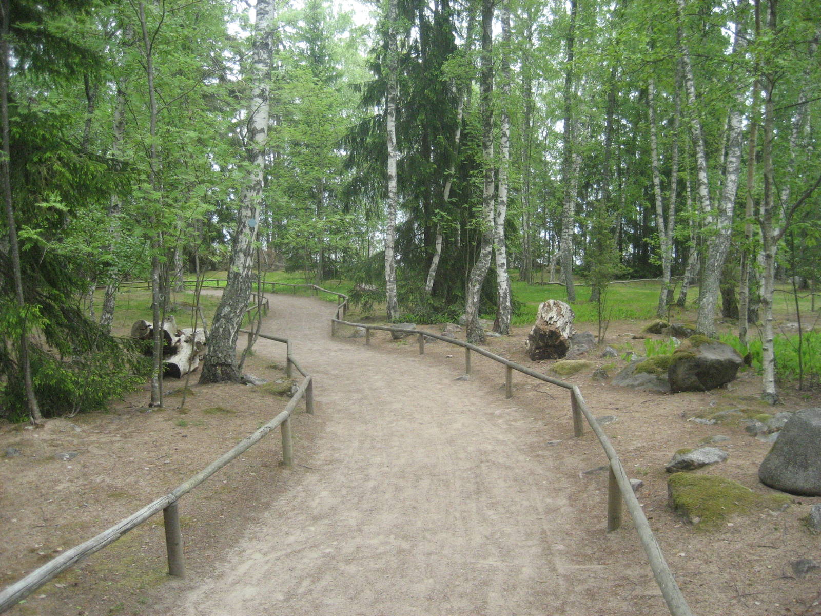 Furuvik - Kangaroo safari