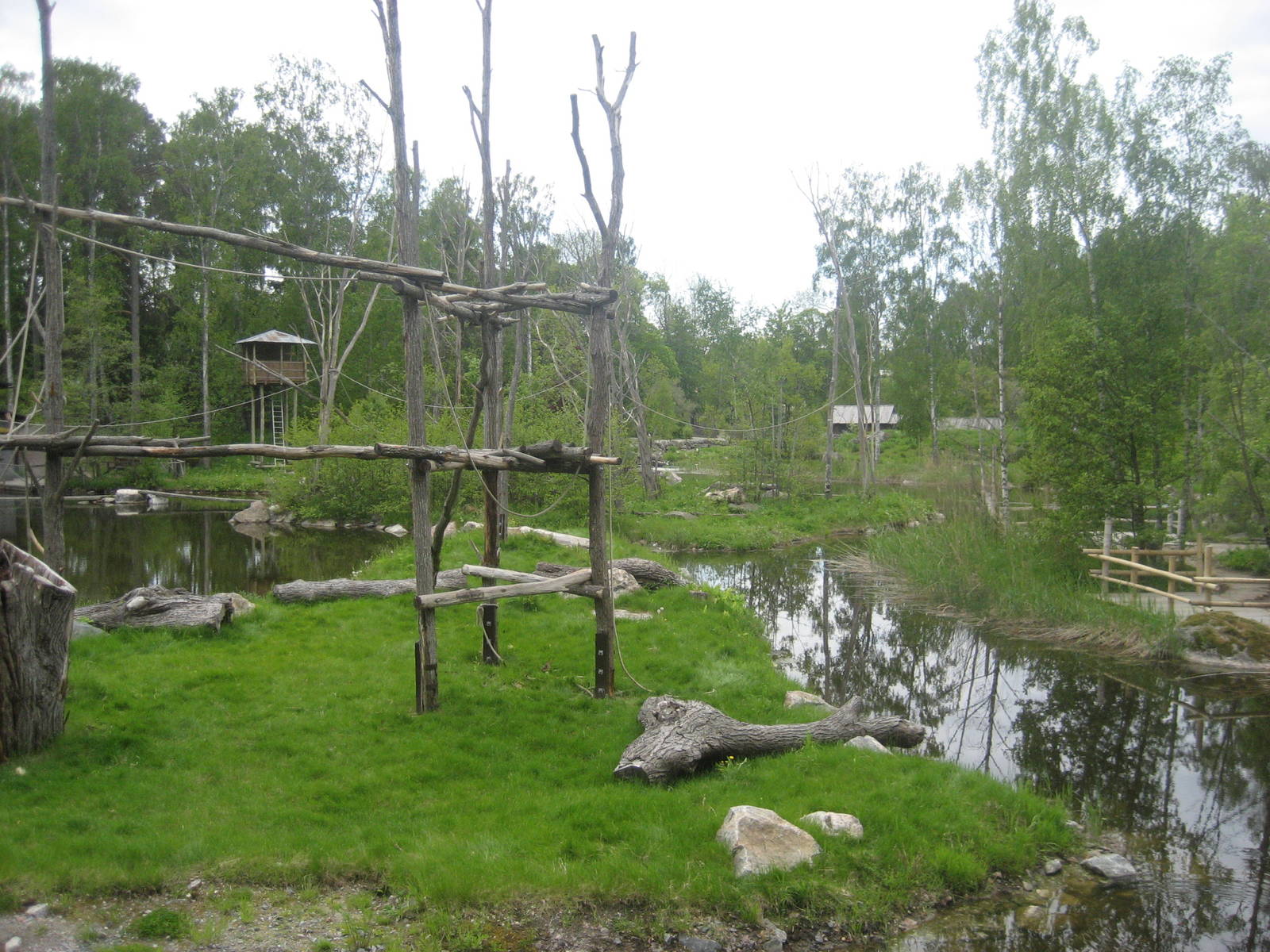 Furuvik - Orangutan exhibit