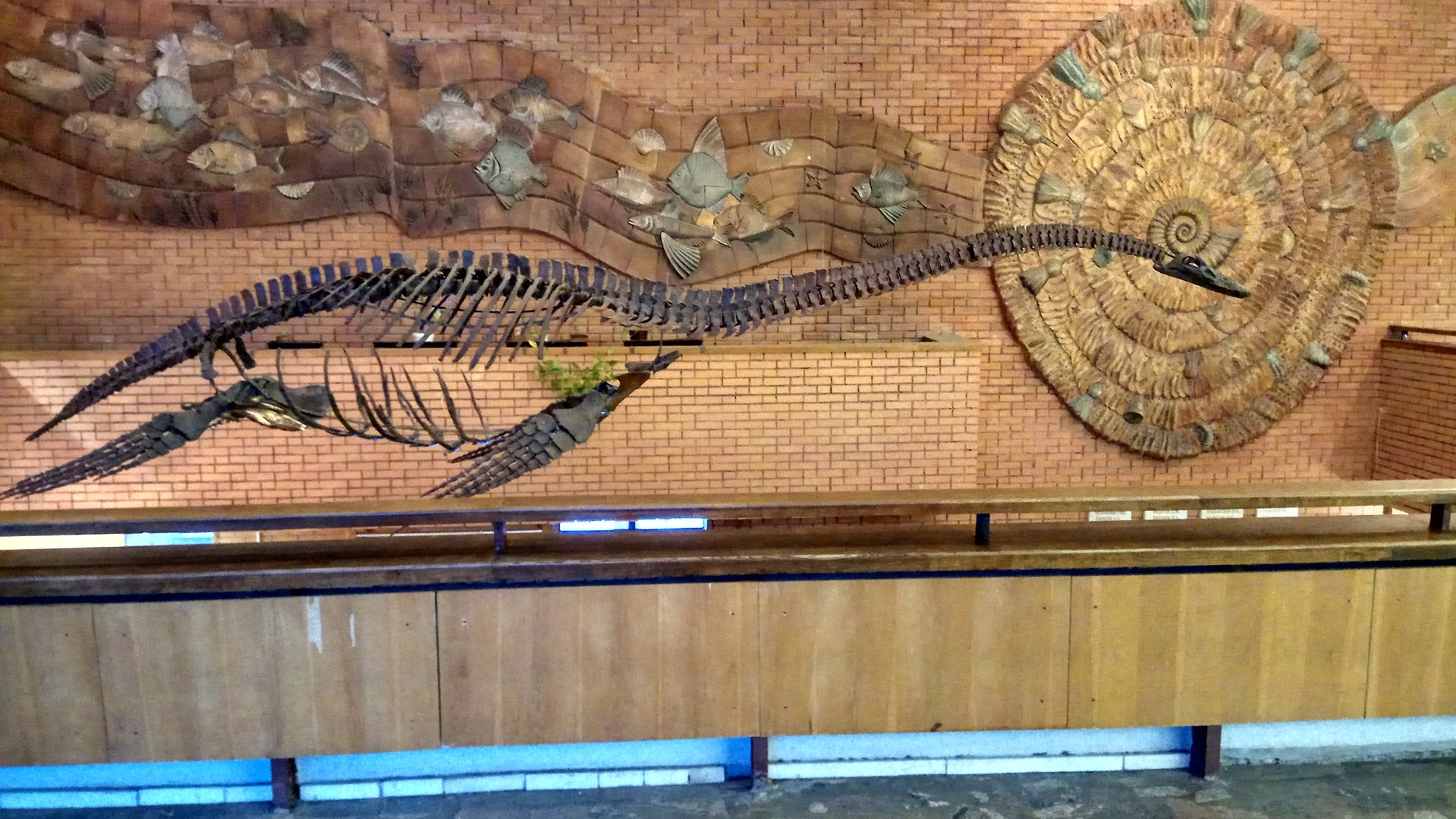 Futabasaurus suzukii