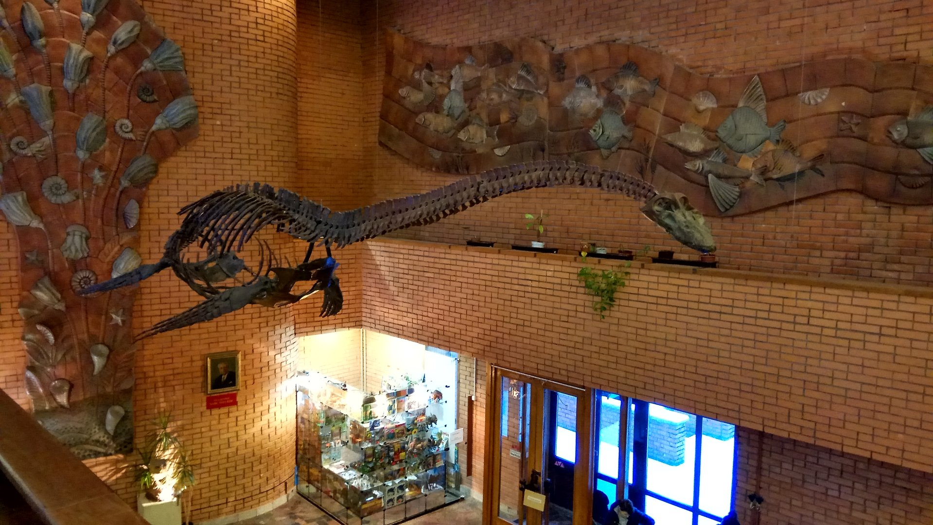 Futabasaurus suzukii