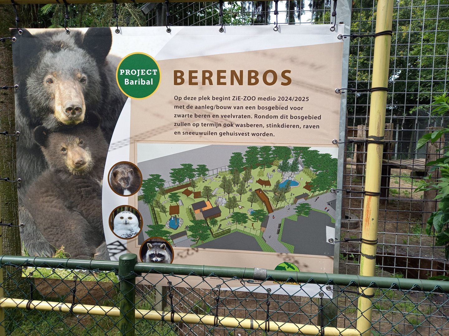 Futere plan ( 2024/2025 ) for American black bear forest