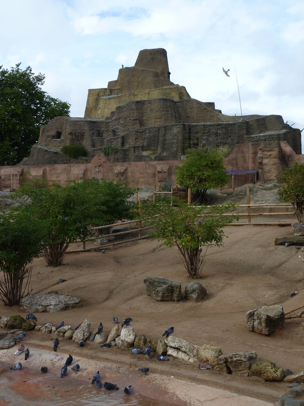 Futile pigeon deterrents, 30th September 2012.