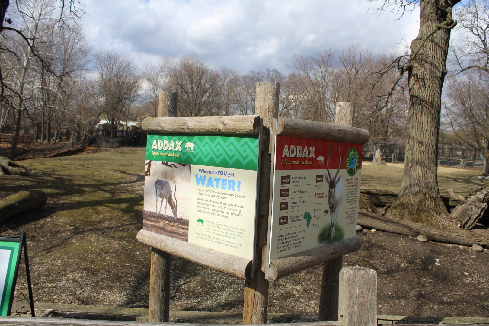 Future Addax Exhibit - Habitat Africa: The Savannah