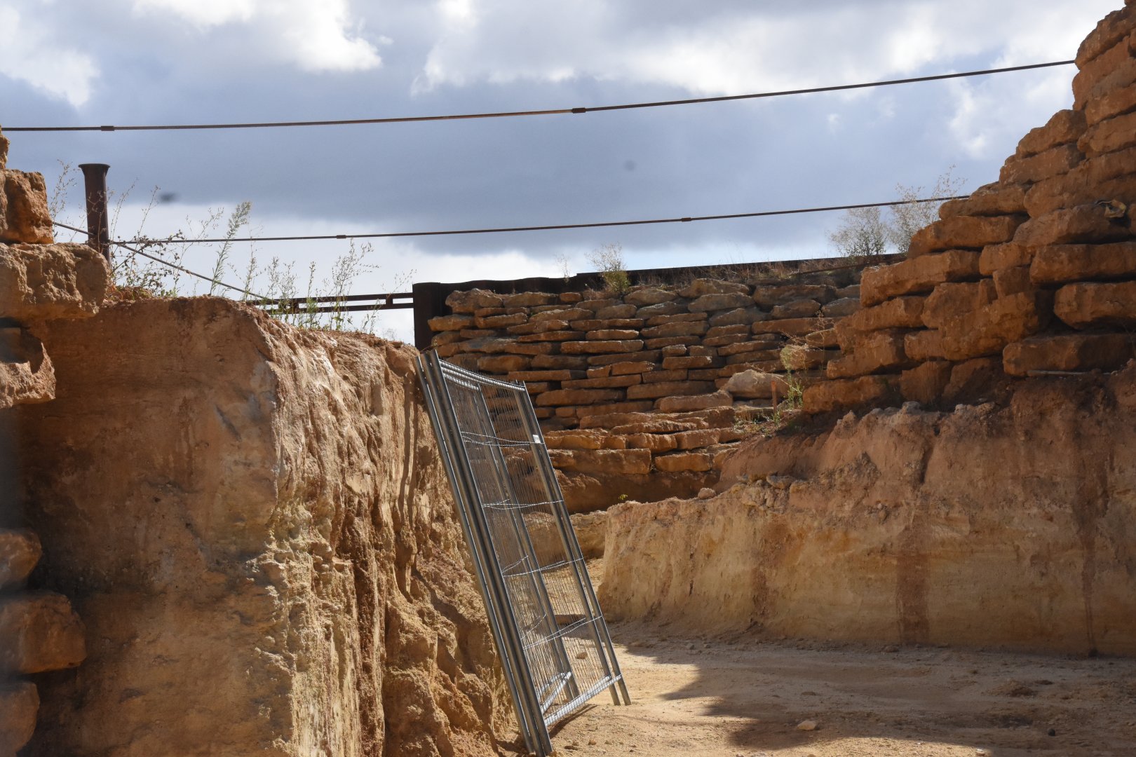 Future african aviary